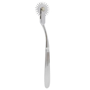Wartenberg AI-1-106-19